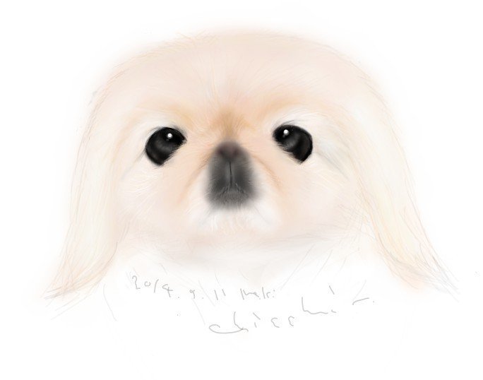 ペキニーズイラストブログ更新しました Http Ameblo Jp Mamijiro0922 マミジロ Note ペキニーズイラストブログ更新しました Http Ameblo Jp Mamijiro0922 マミジロ Note