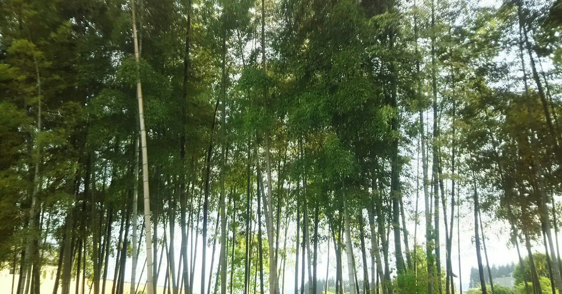 8253266329_3