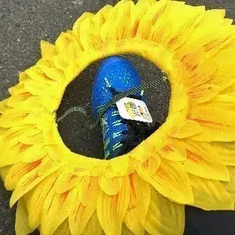 wholesomeright