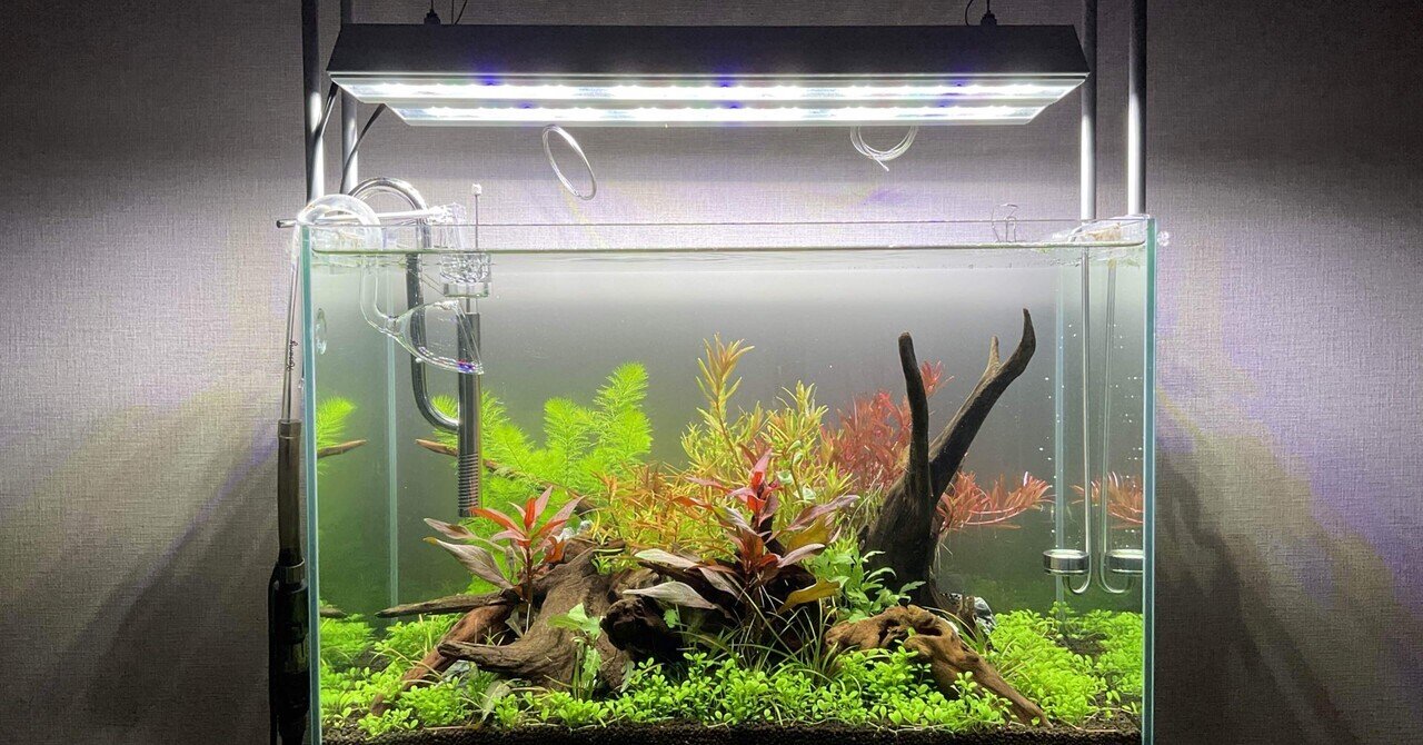 水槽 timtamtom コネクトサイドタンクシリーズ｜AQUA STEADY｜MMC企画 レッドシー事業部