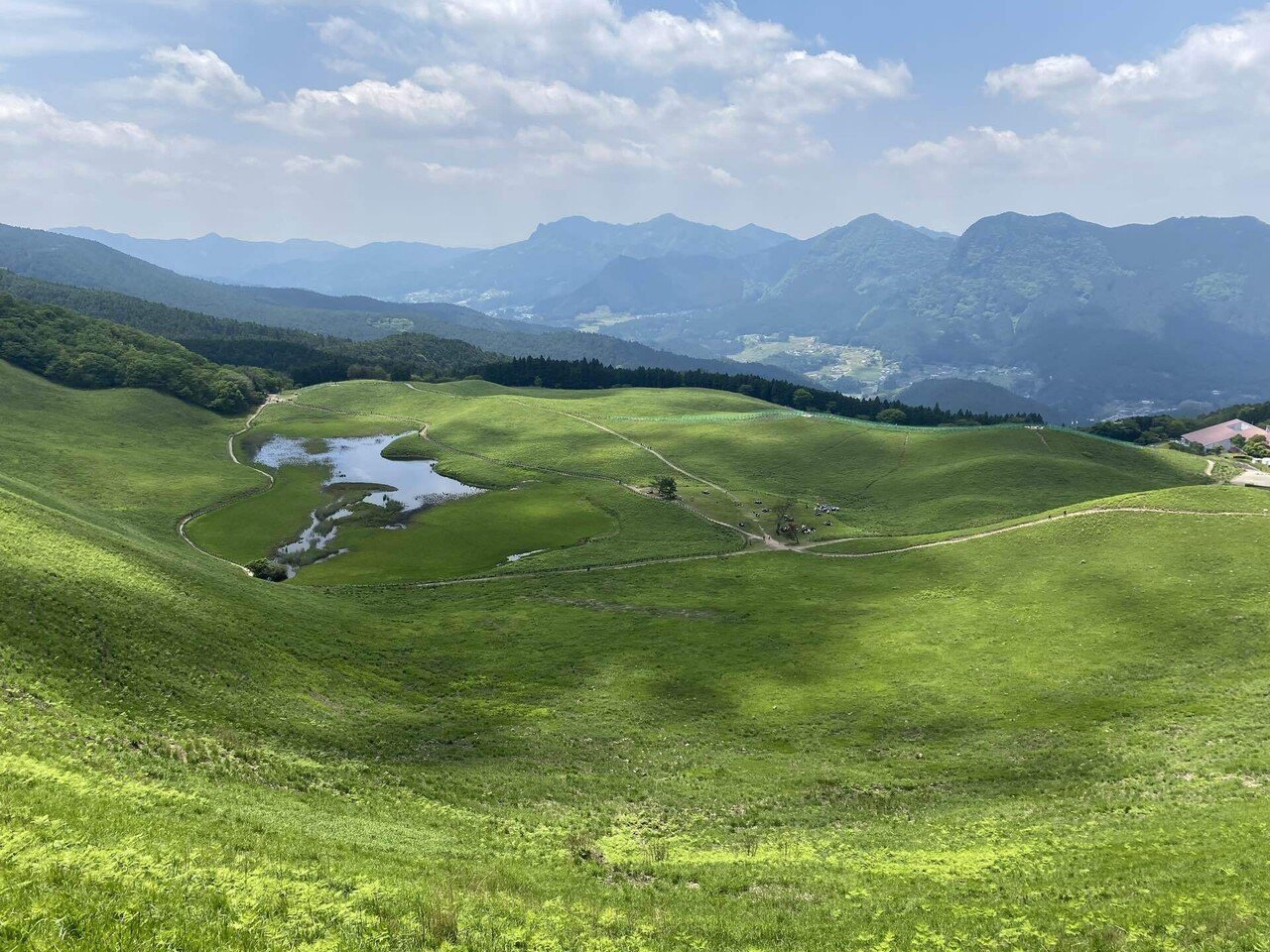 76 初夏の曽爾高原でそよかぜを感じる｜ミヤコカエデ（Miyako Kaede)