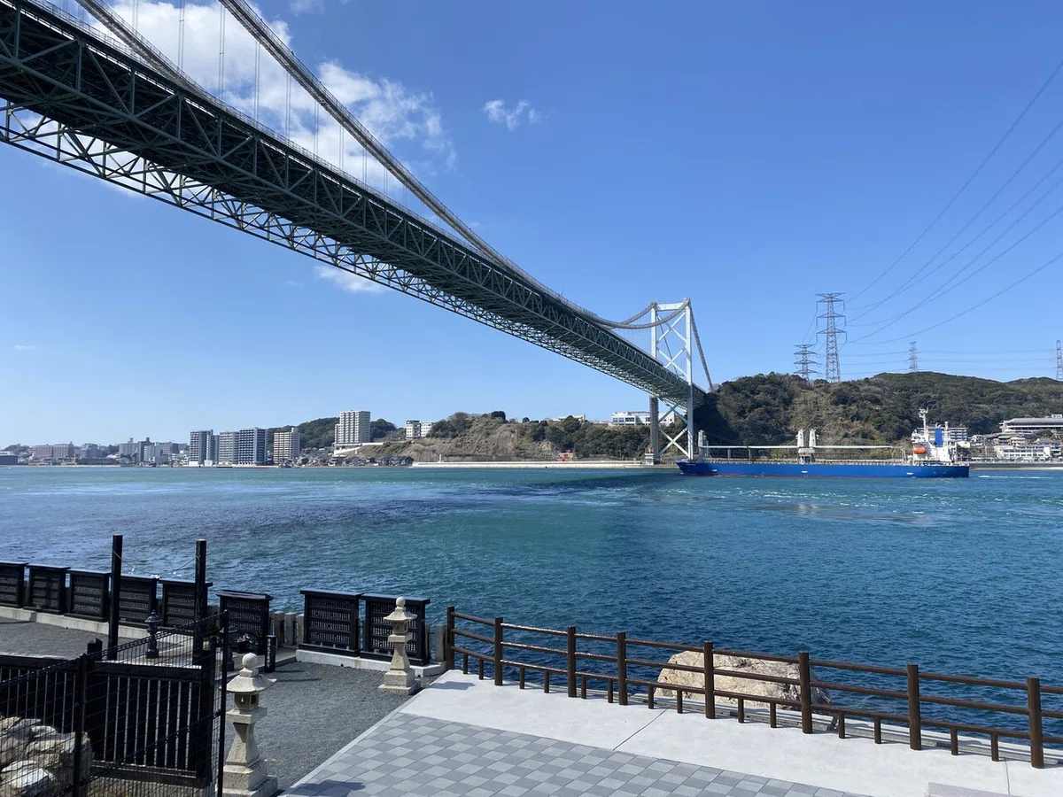 画像7