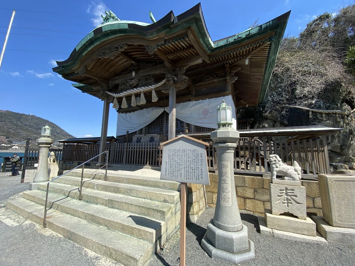 画像8