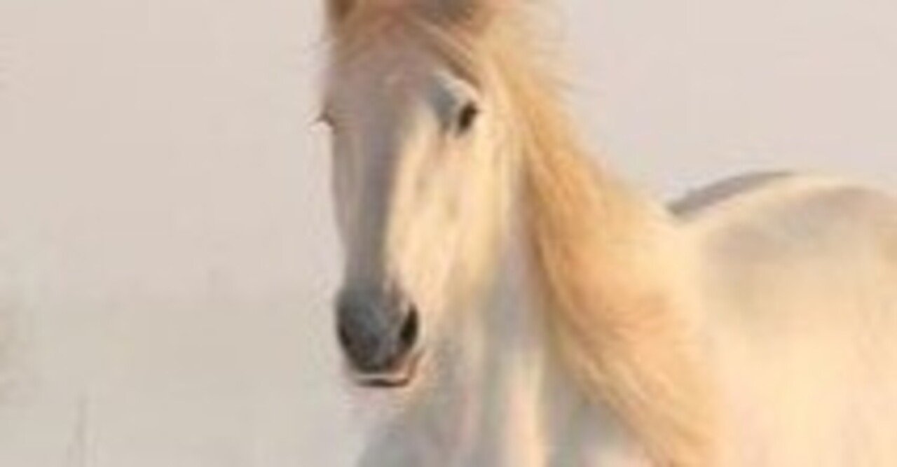 ダノンベルーガ せっかくのダービーウィークなので 有力馬をテシオ理論で斬る 芝 燿二郎 Note