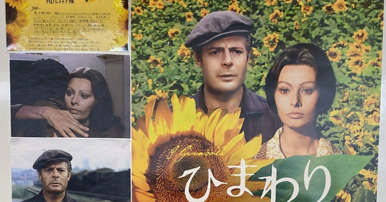 名作ひまわり 旧作名画をみた1：ひまわり｜kumacho_o
