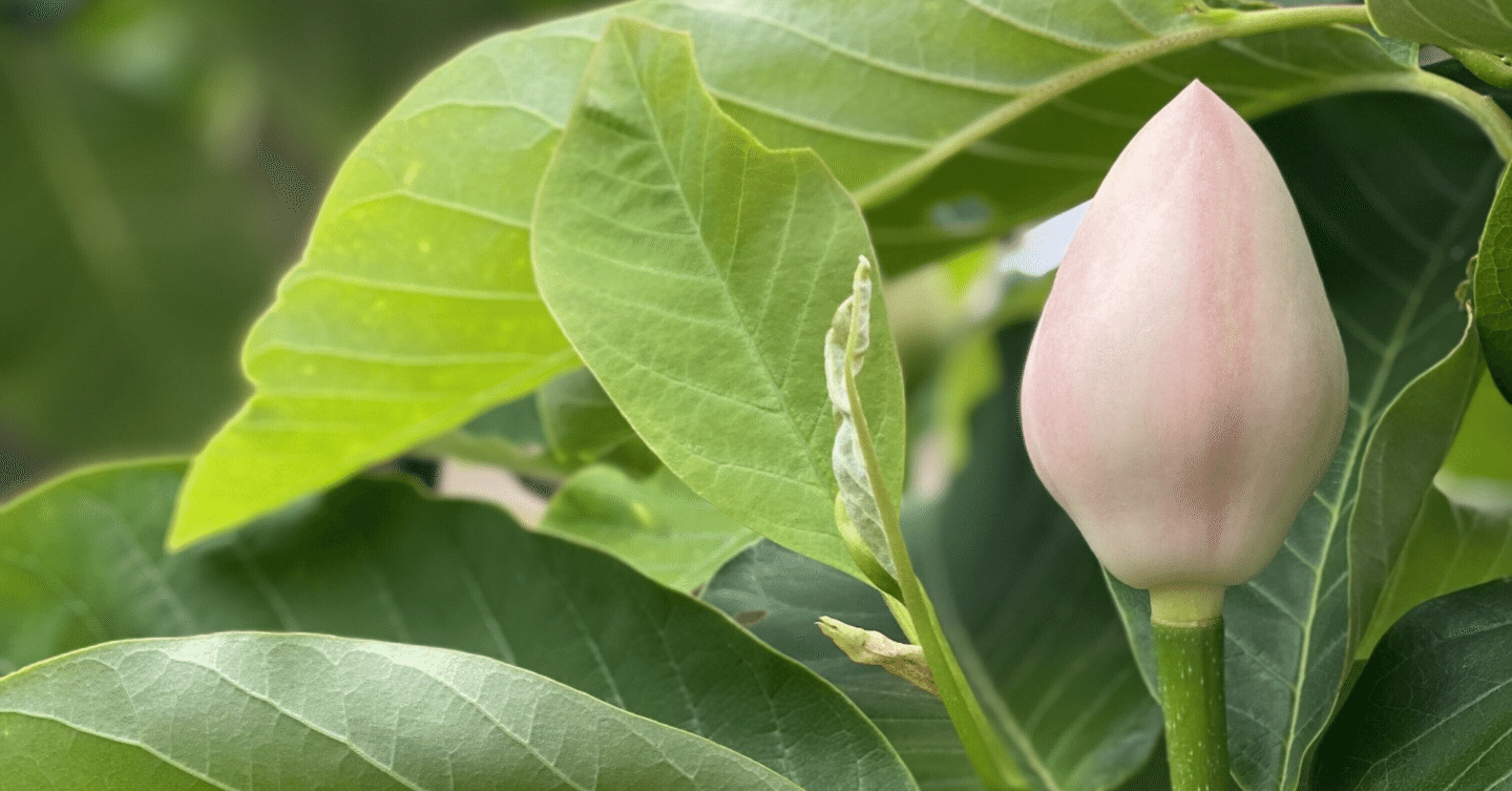 人生は運とタイミング Jin佐伯仁志 Note