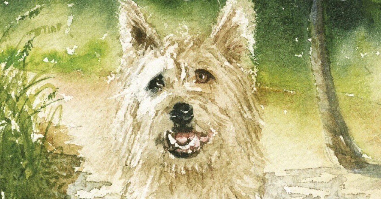 洋書多読】Because of Winn-Dixie（178冊目）｜Ken Sugihara