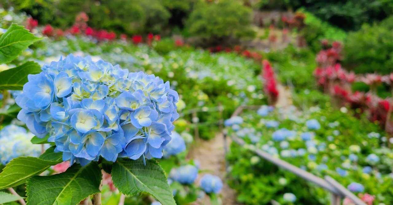 フラベベ の新着タグ記事一覧 Note つくる つながる とどける フラベベ の新着タグ記事一覧 Note つくる つながる とどける