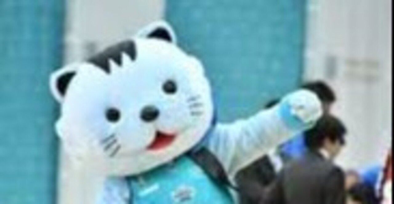 バスケjblいすづギガキャッツメンバーの直筆サインボール Www Vetrepro Fr