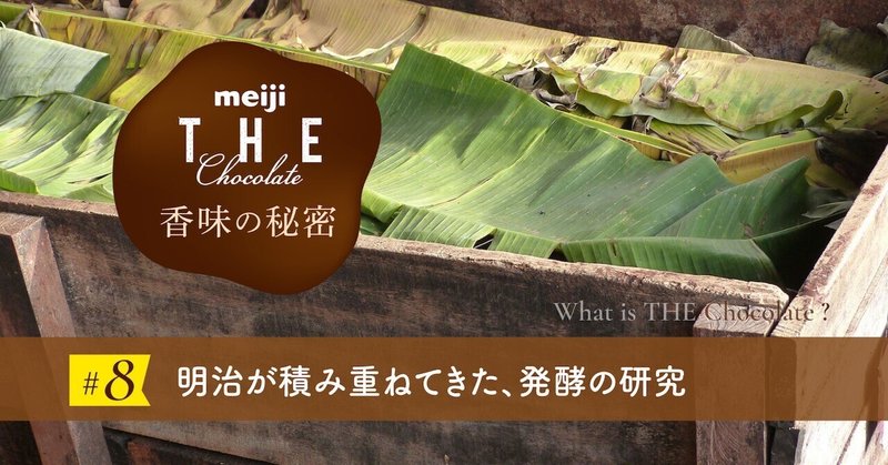 明治が積み重ねてきた、発酵の研究──meiji THE Chocolateの香味の秘密 #8
