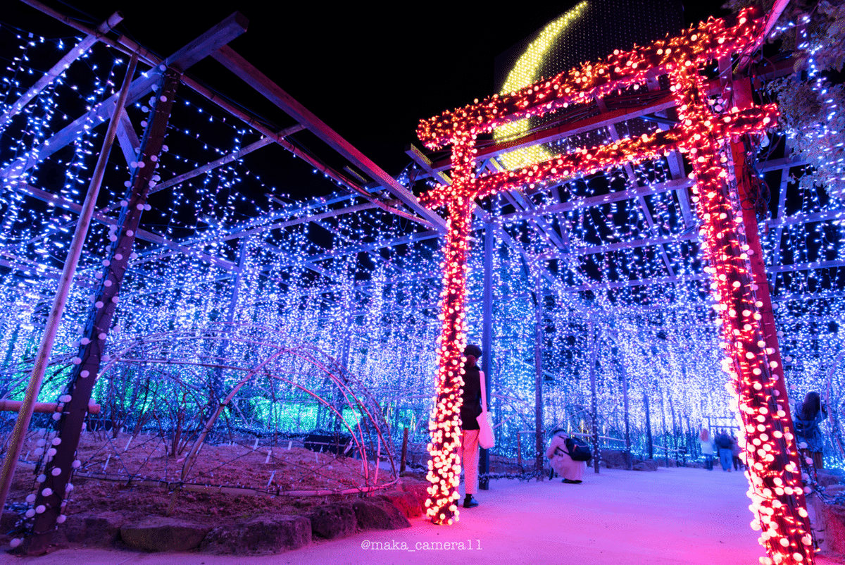 NIKKOR 20mm F1.8G/#144｜SUBARU