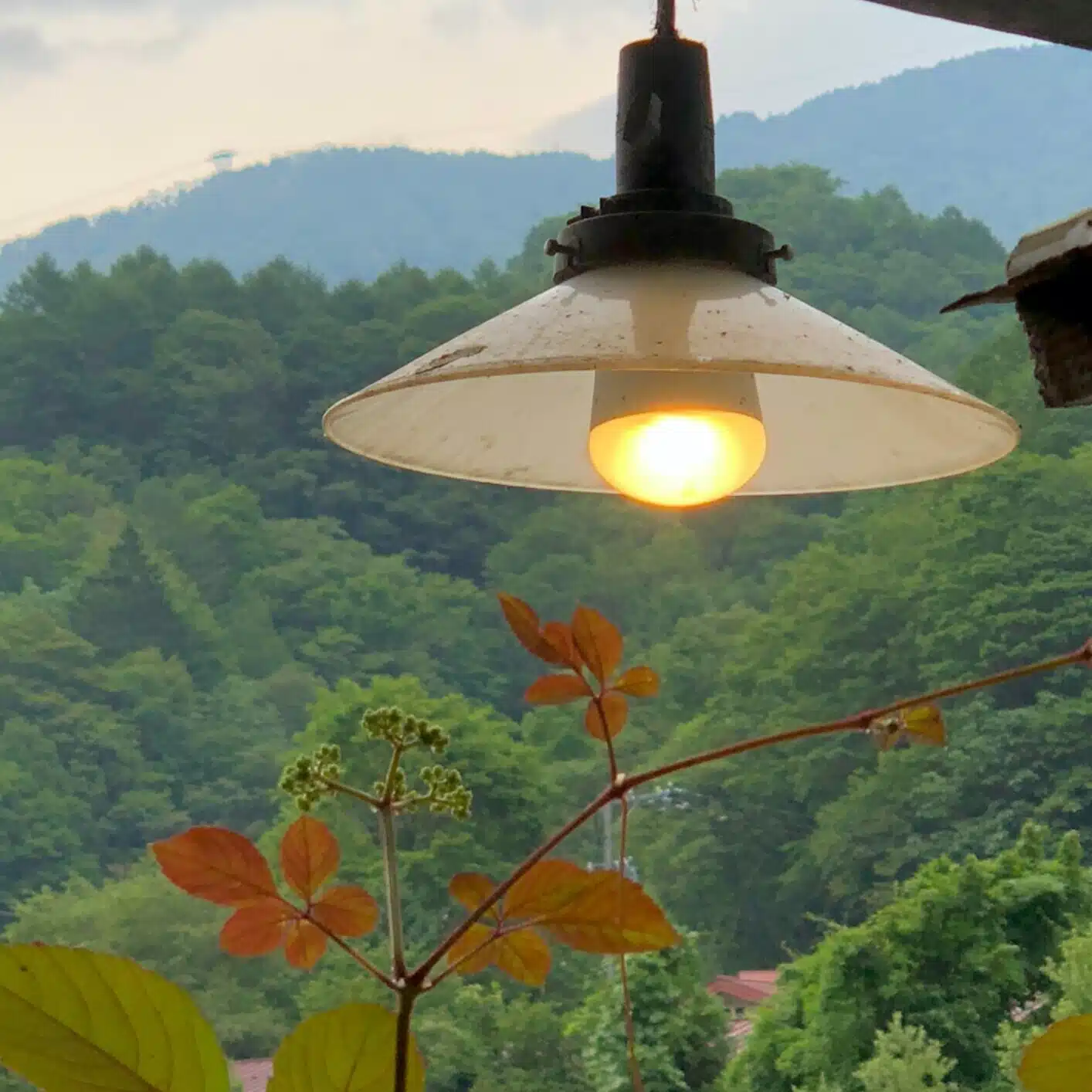 耳澄