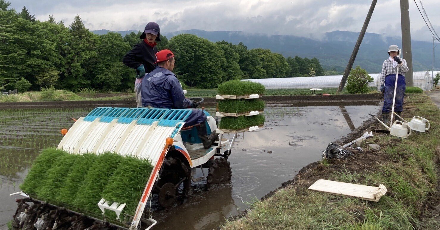 毎年恒例 家族総出の田植え を手伝いながら 人生についても考えた話 Lhouse エルハウス Note 毎年恒例 家族総出の田植え を手伝いながら 人生についても考えた話 Lhouse エルハウス Note