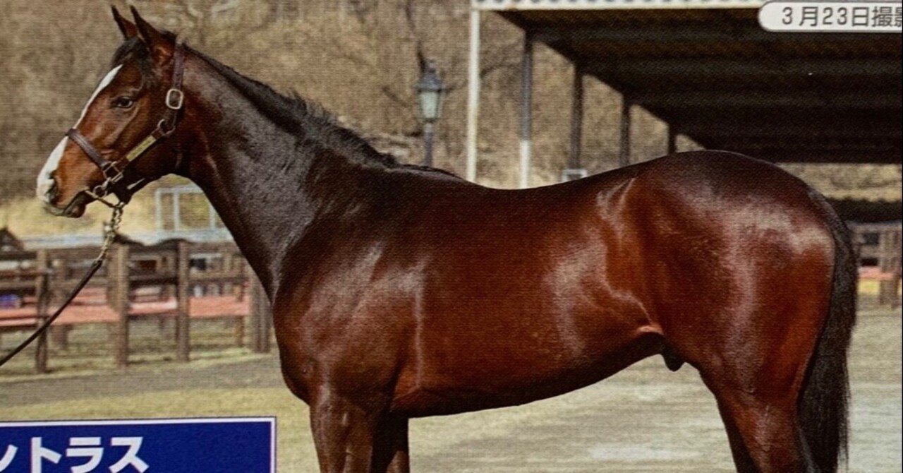 22 Pog特集 注目２歳馬 一口馬主マスターb Note