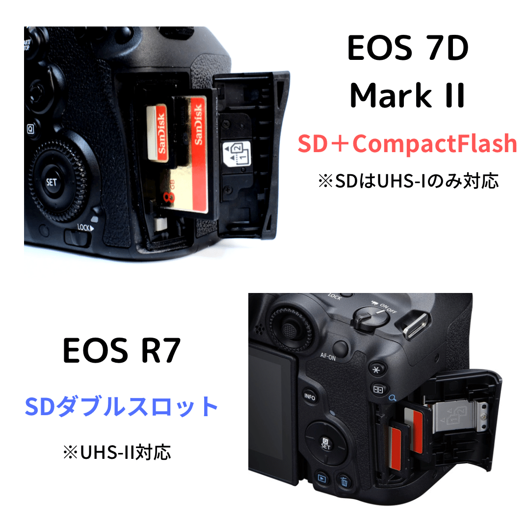 Canon EOS 7D Mark II 【安心のダブルスロット】本体と付属品 キヤノンの新「EOS R7」正式発表に思うこと｜会場カメラマン