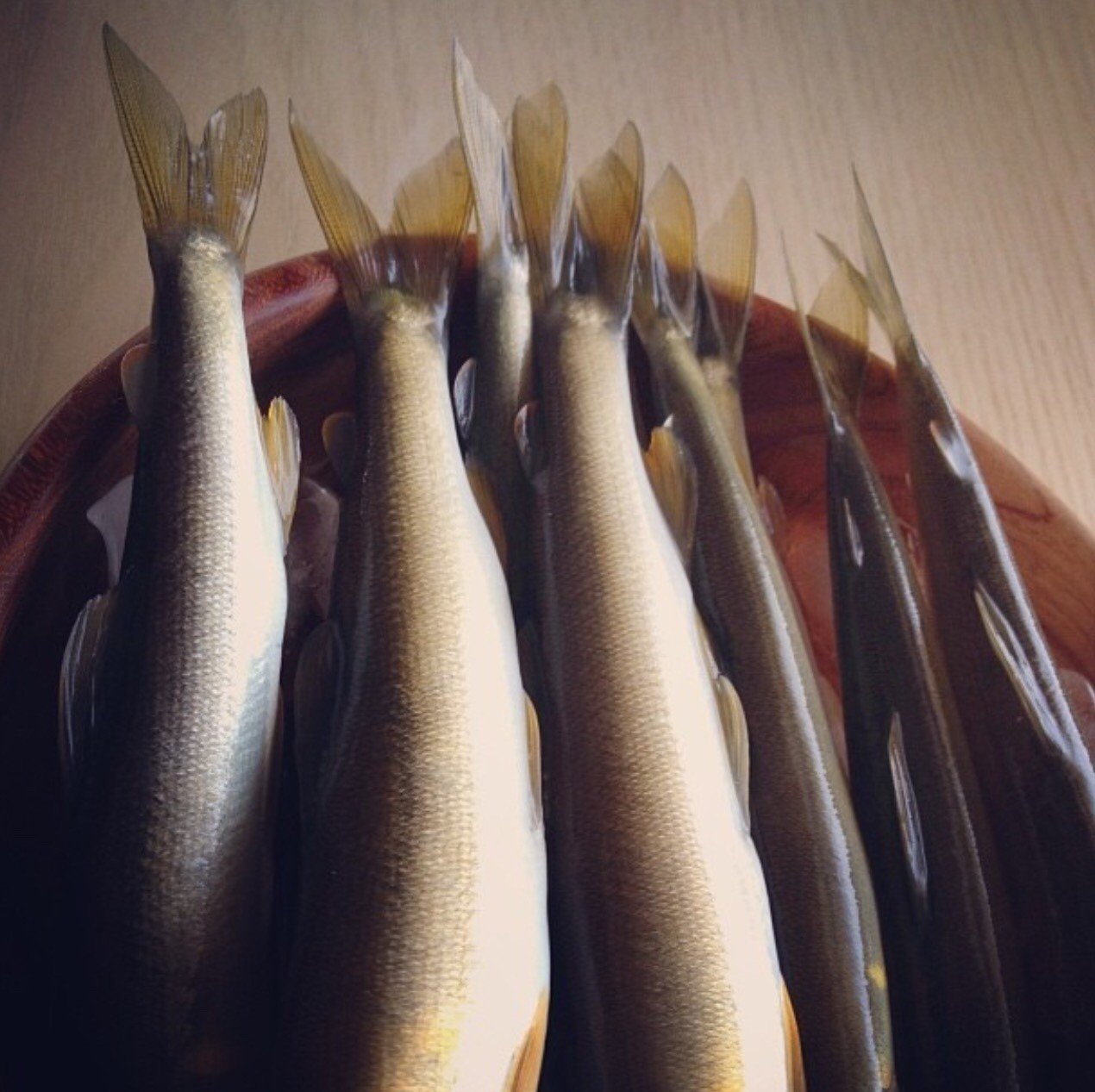 魚の香りについて Fishnude Note