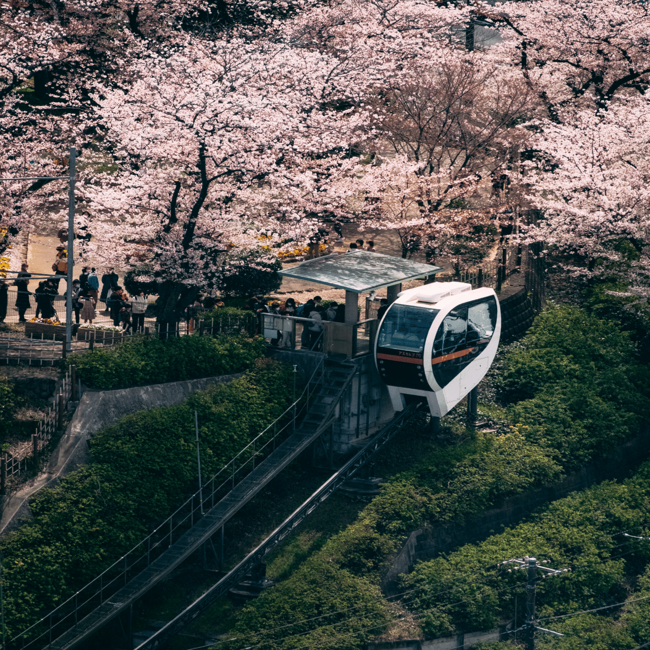 鉄道のある風景#21〜展望台編｜yanasnap @東京を撮る