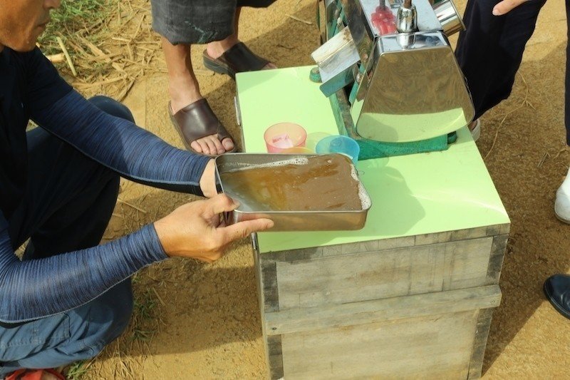 宮古島 サトウキビ畑の収穫体験と カリブ海の砂糖革命 りょうすけの ありのまま記 Note