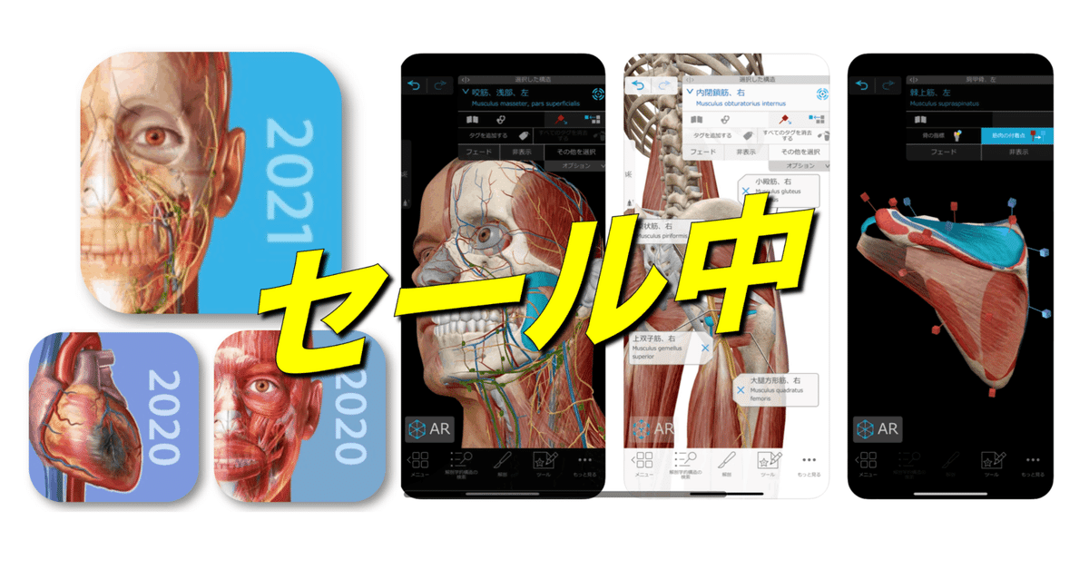 ⭐️セール中⭐️解剖学アプリ｜アレルギーとたたかう理学療法士
