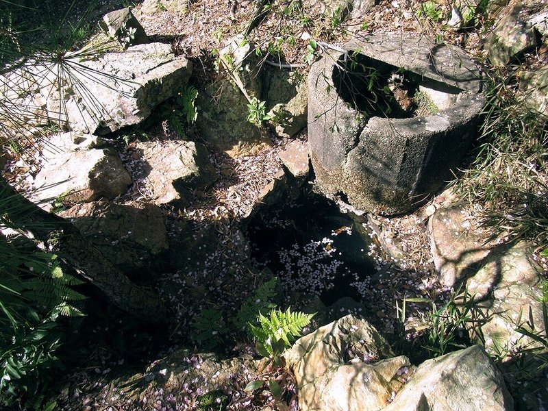 9関山神社池跡井戸