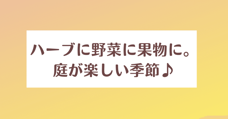 ハーブに野菜に果物に。庭が楽しい季節♪