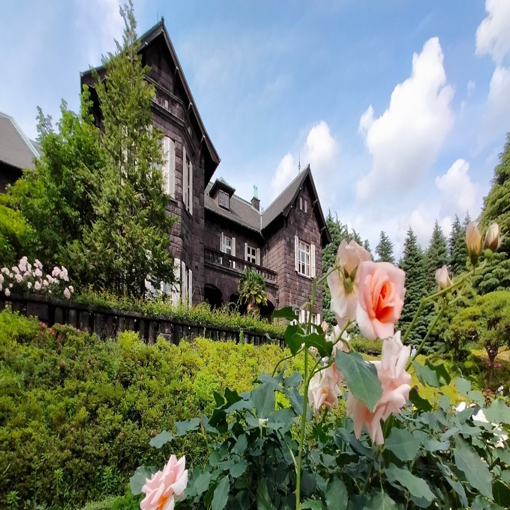 東京観光日誌」#32｜上中里｜旧古河庭園｜マット・アカイシ