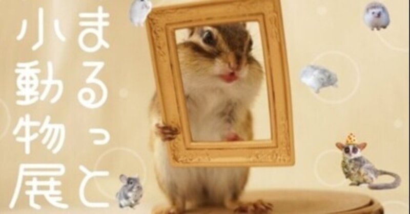 まるっと小動物展22 の新着タグ記事一覧 Note つくる つながる とどける まるっと小動物展22 の新着タグ記事一覧 Note つくる つながる とどける