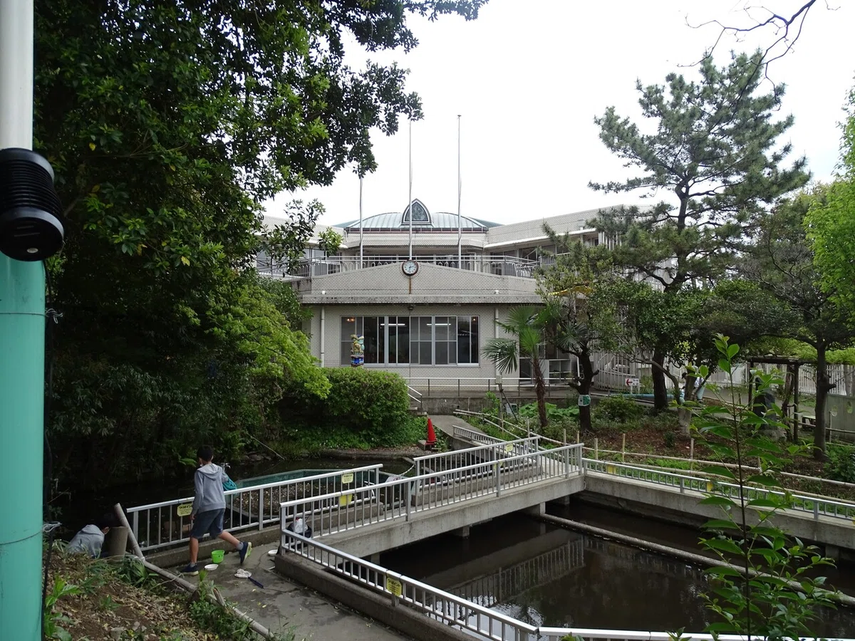 画像12
