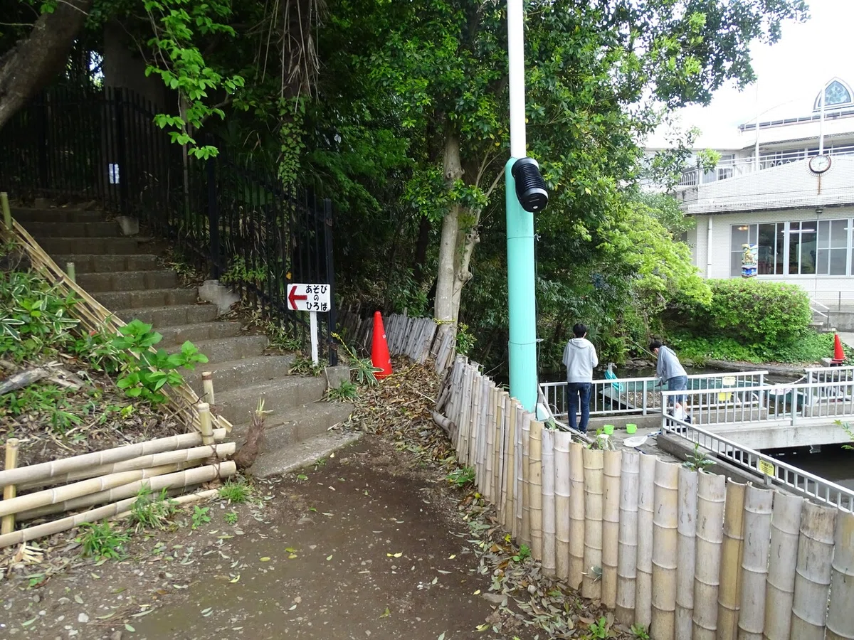 画像9