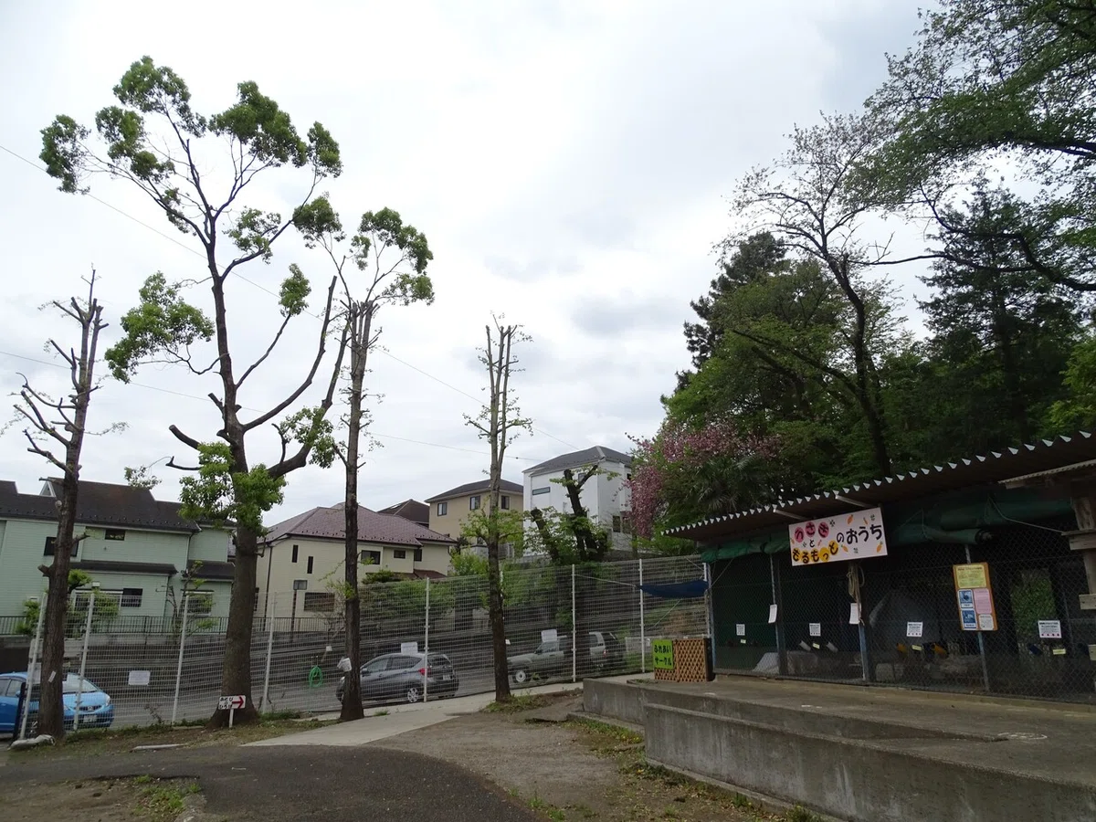 画像25