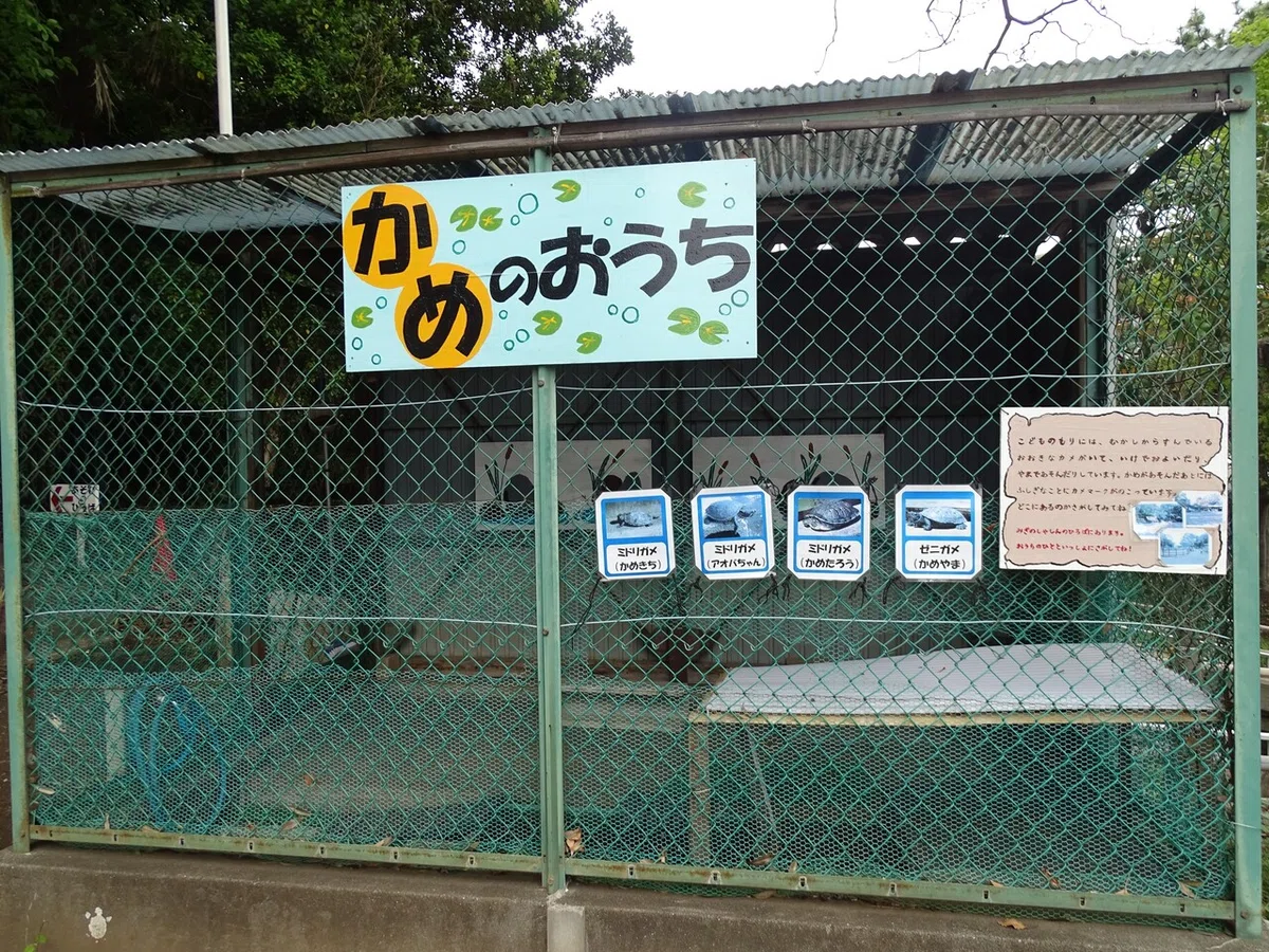 画像26
