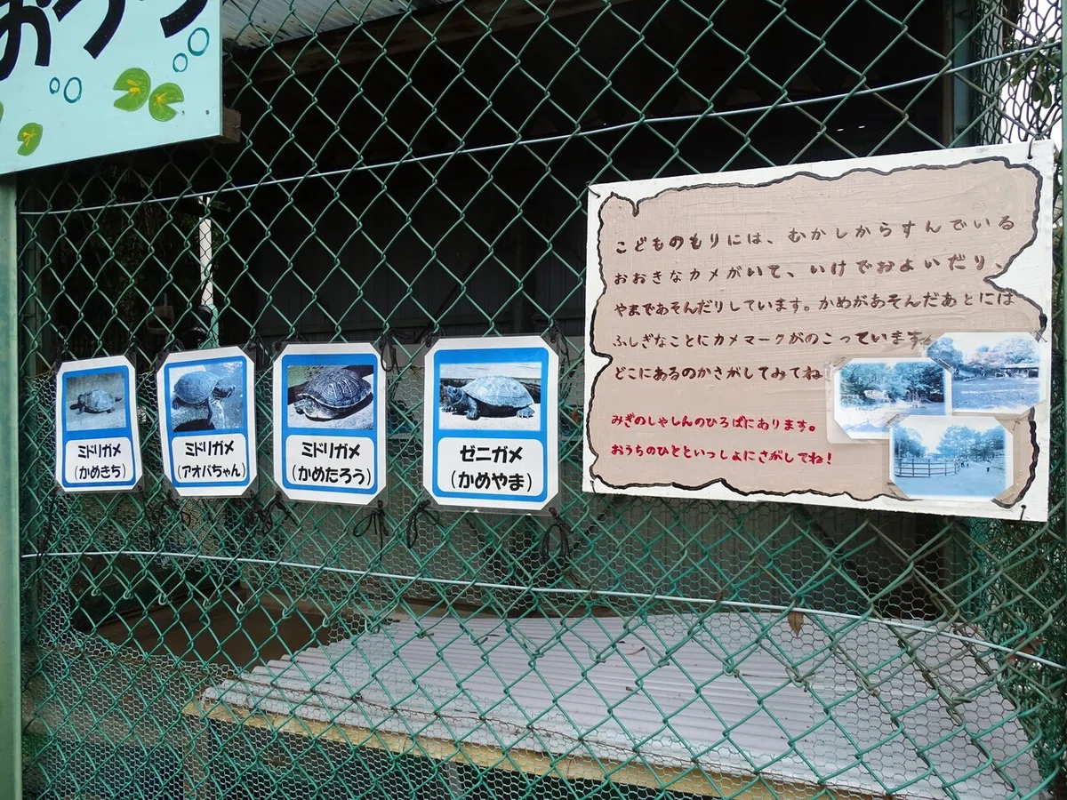 画像21