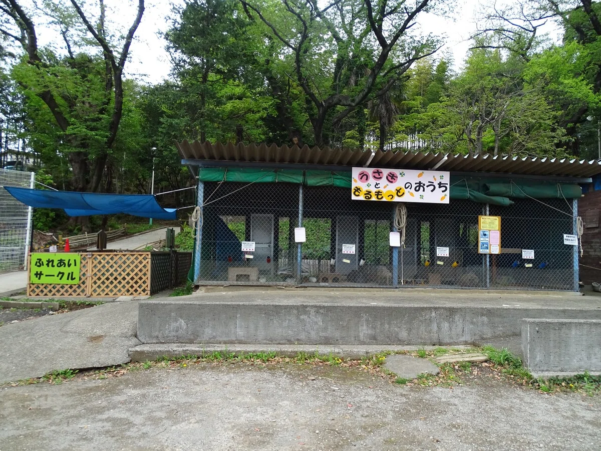 画像23
