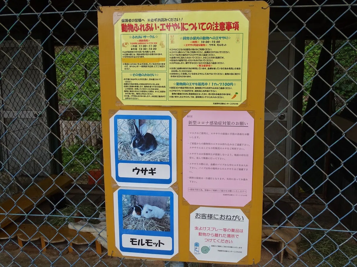 画像32