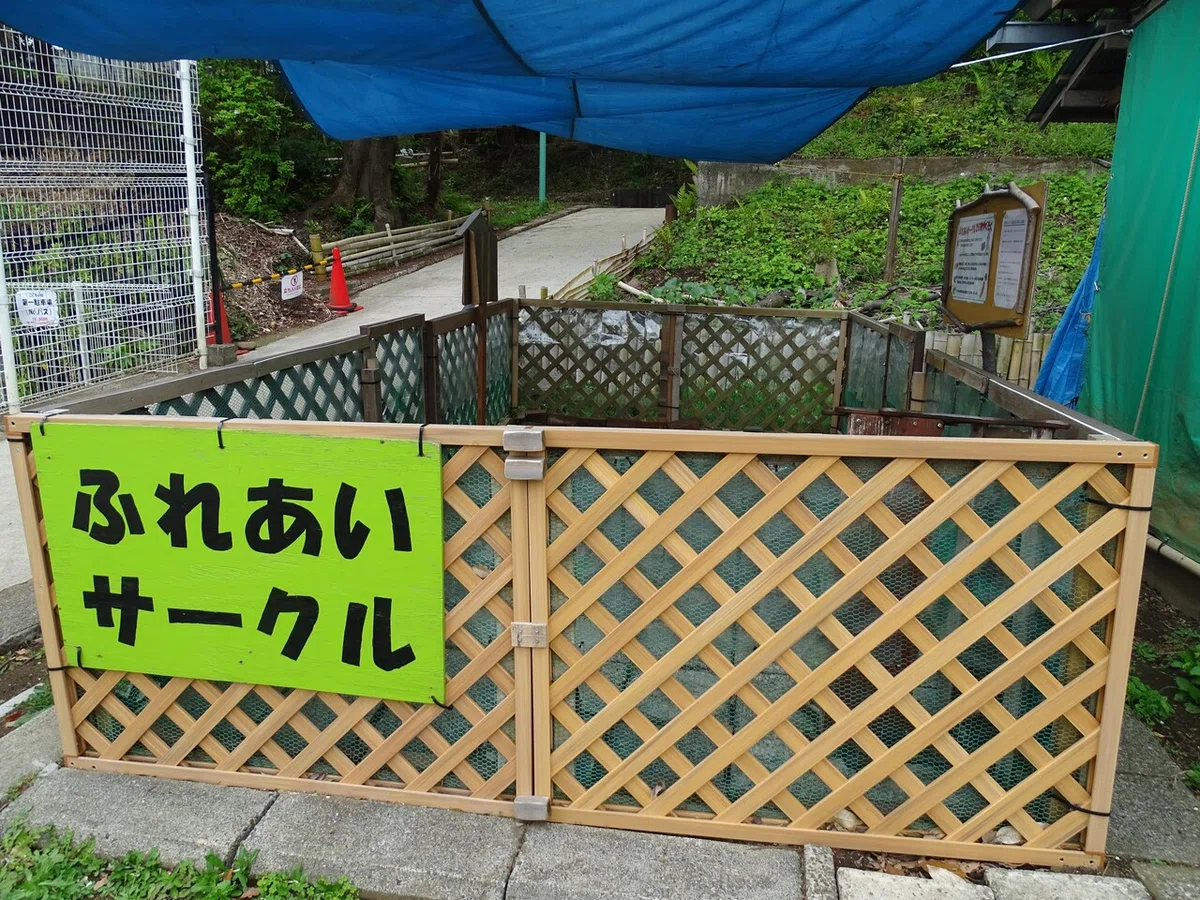 画像27