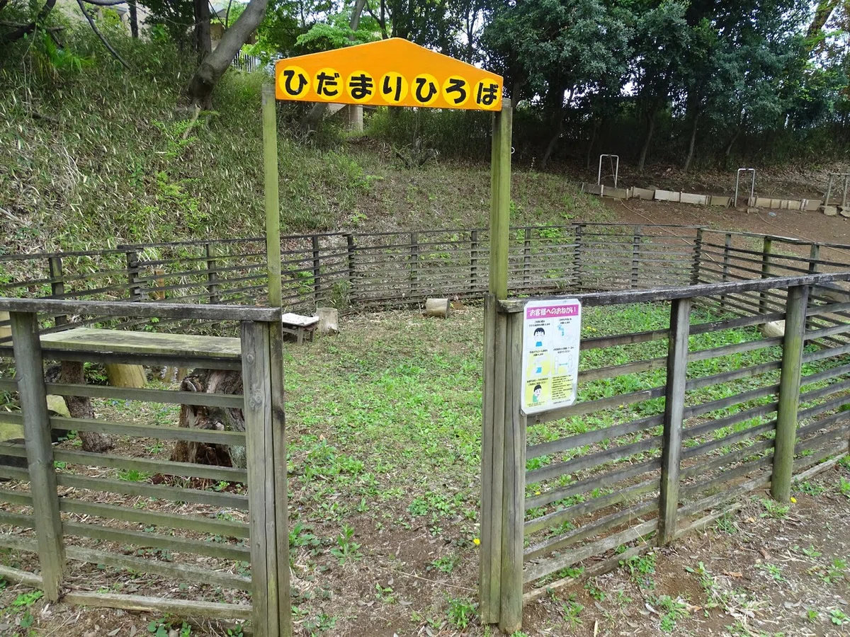 画像40