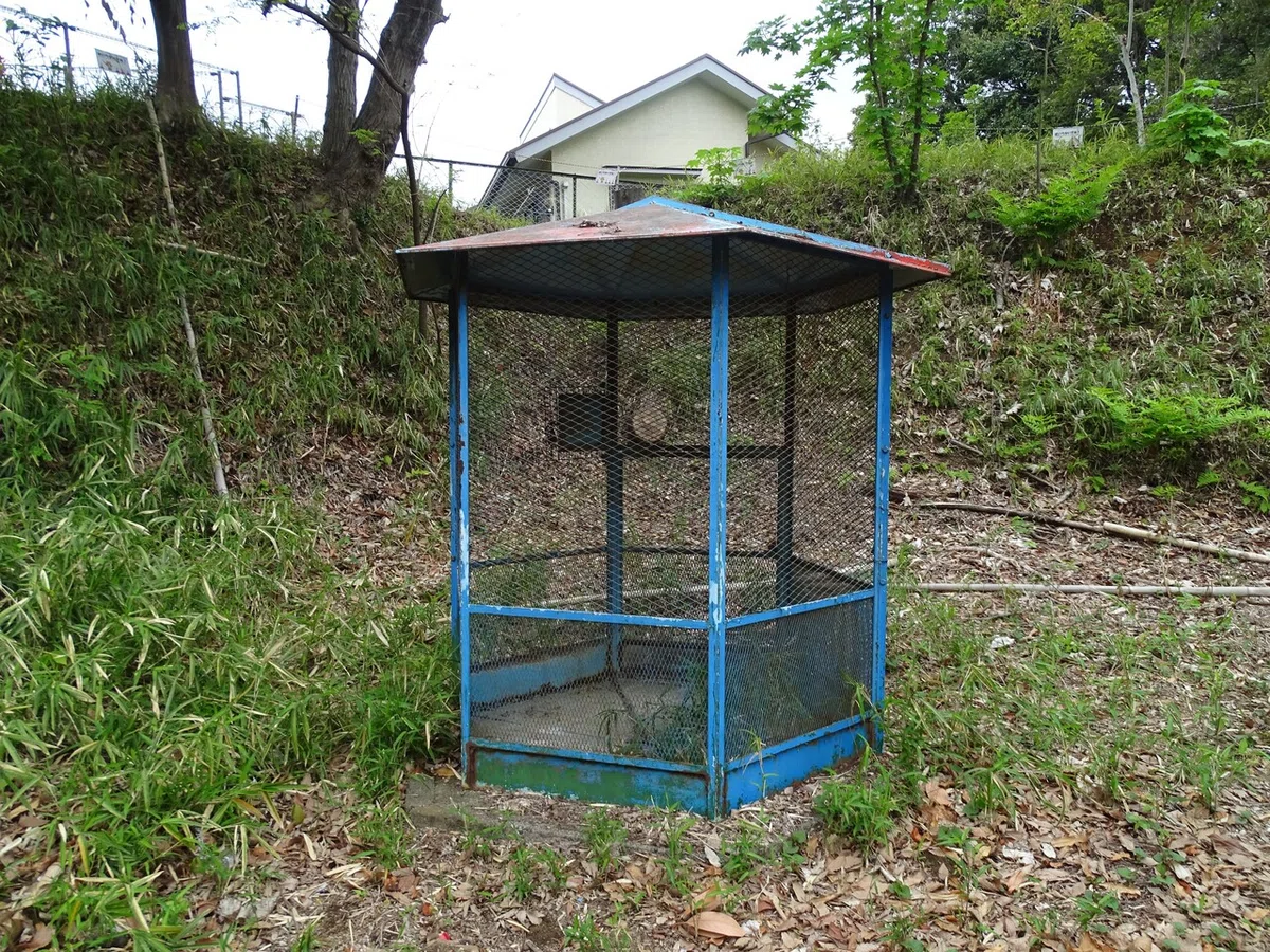 画像41