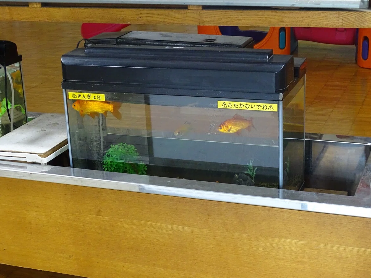 画像45