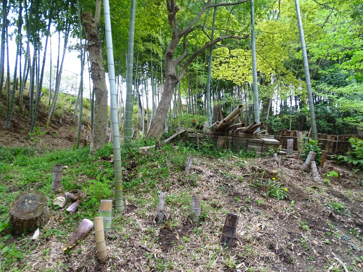 画像57