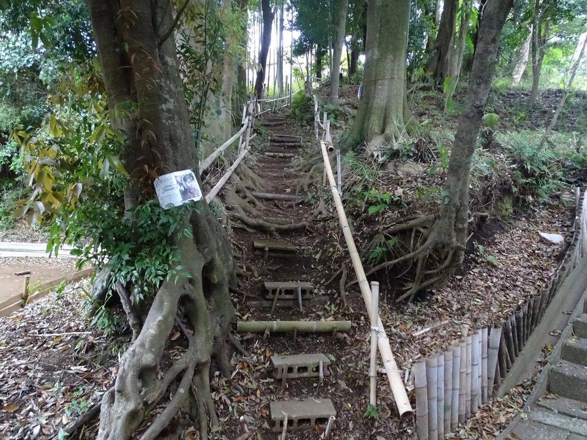 画像67