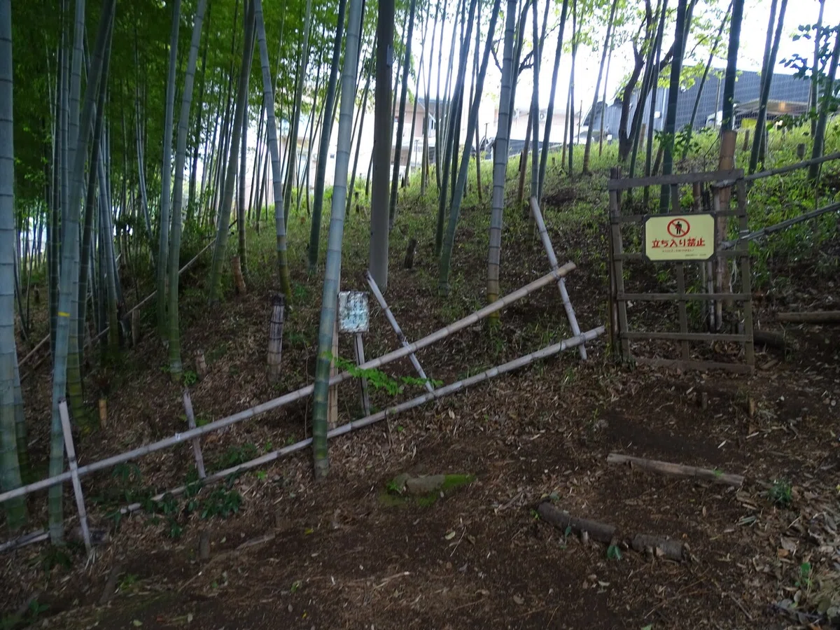 画像77