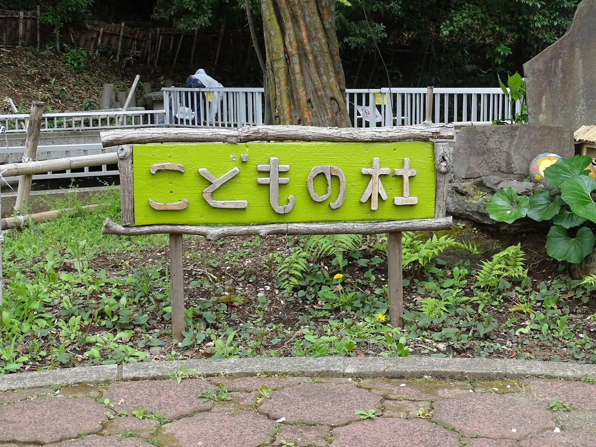 画像84