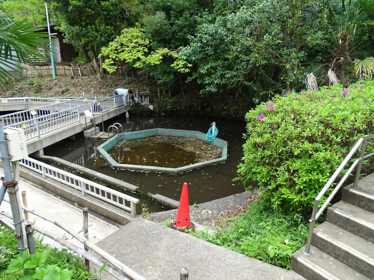 画像74