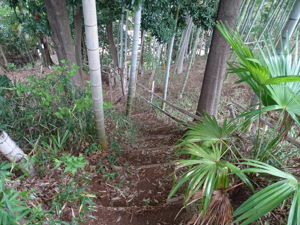 画像76