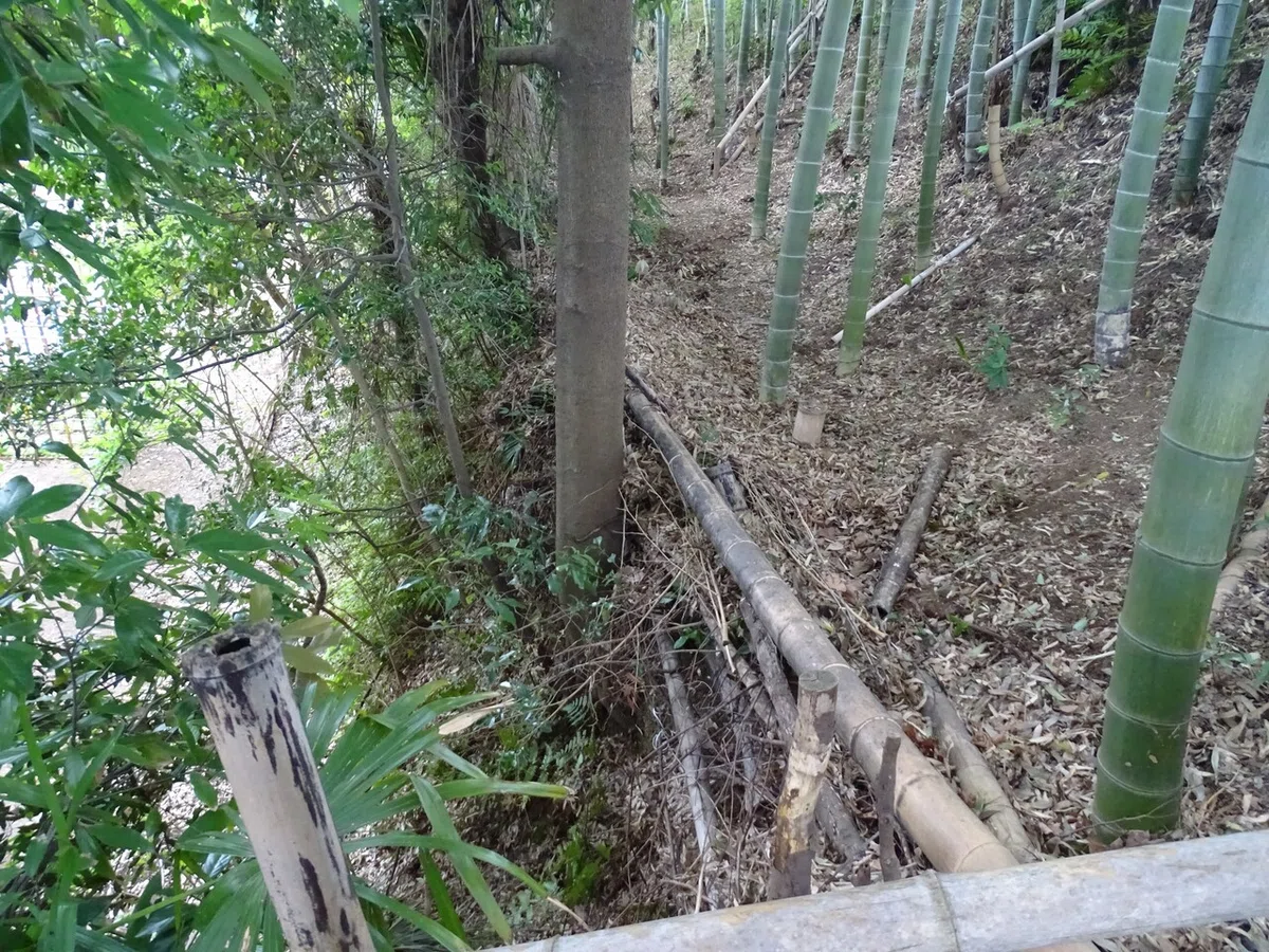 画像78