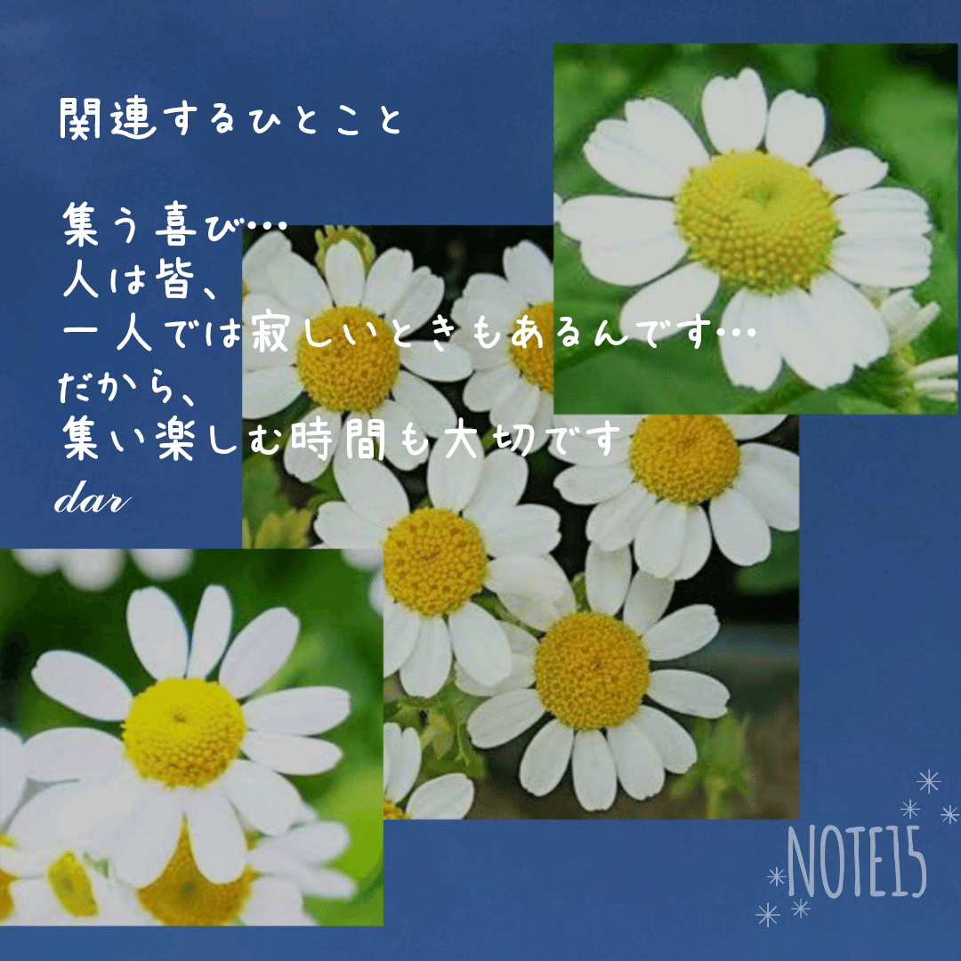 マトリカリア の新着タグ記事一覧 Note つくる つながる とどける
