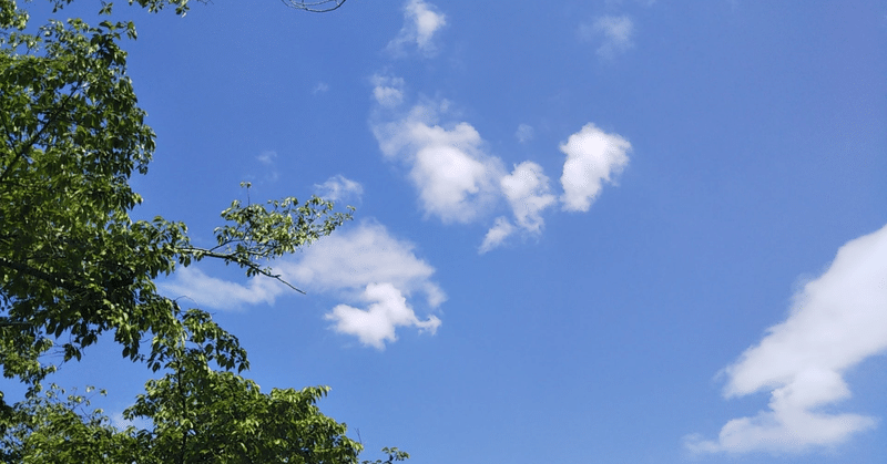 靴を隠されて、傘を盗まれて、雨はもう上がっているから、風が少し冷たく感じたよ。