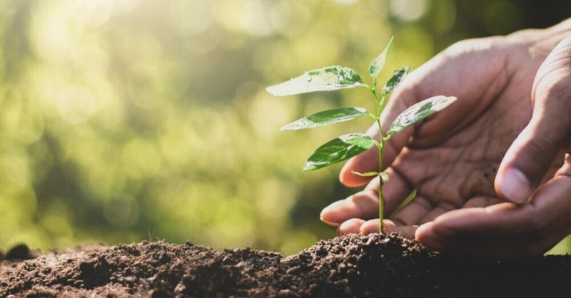 「真に生きた土」をつくり、温暖化まで止める！　“環境革命の実践書”と話題の新刊『土を育てる』