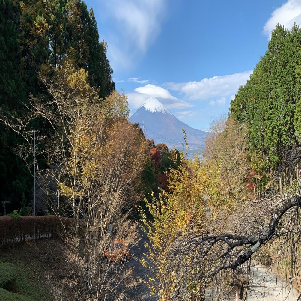 富士山が見える 乙女森林公園キャンプ場でグルキャン 静岡県御殿場市 Exilias 石井晃 Note