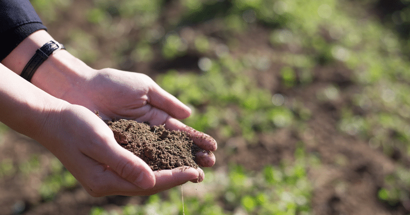 土用じゃないのに、土いじりをしてはいけない期間🌱